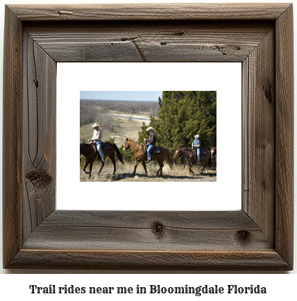 trail rides near me in Bloomingdale, Florida